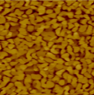 Gold(111) coated mica substrate