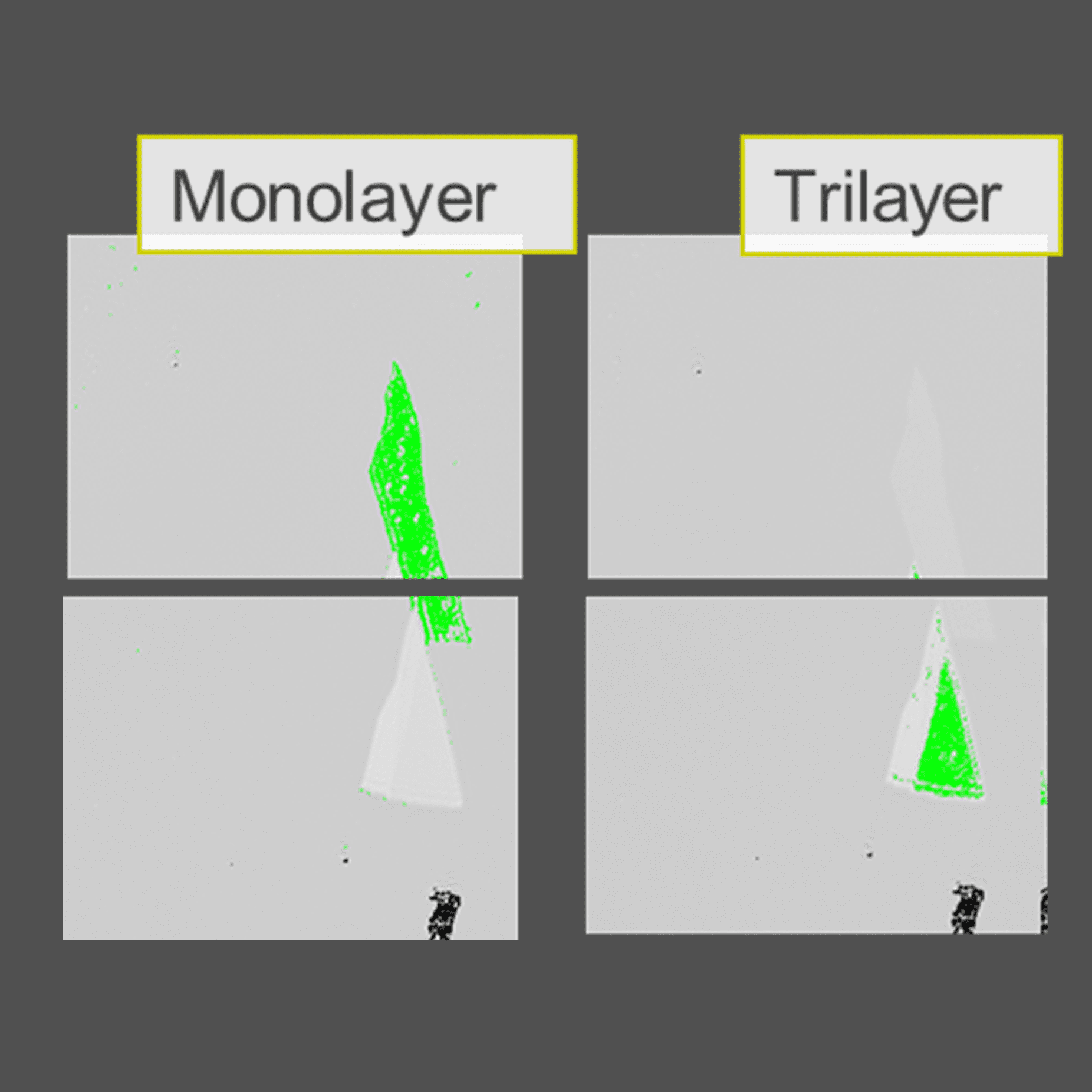 Flake search for mono- and trilayer