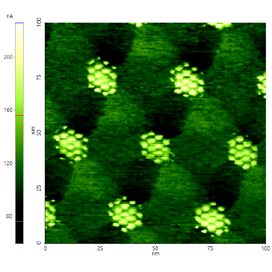 Moiré Superlattice in Twisted Bilayer Graphene on hBN