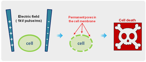 irreversible-nanopore-detection-on-ags-cell