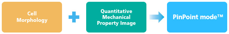 quantitative-mechanical-property-imaging-by-PinPoint-modes